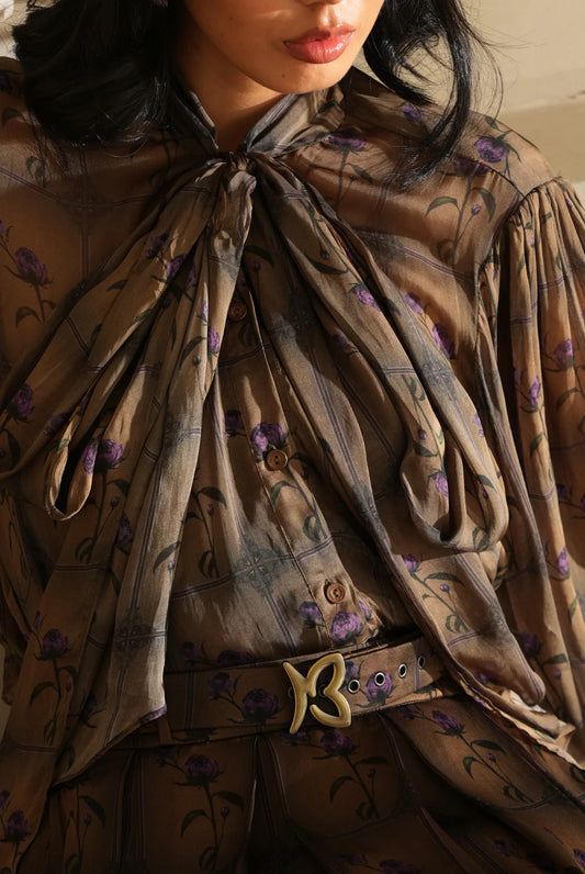 The Mariposa Belt
